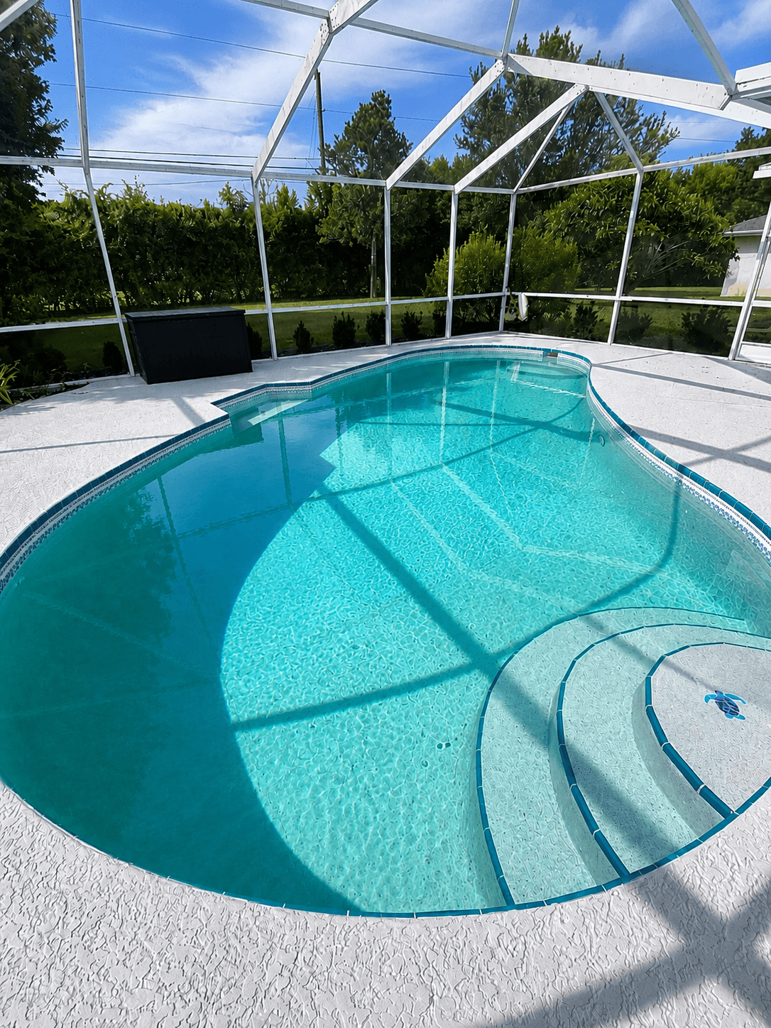 Pool maintained by Pool Pro Florida