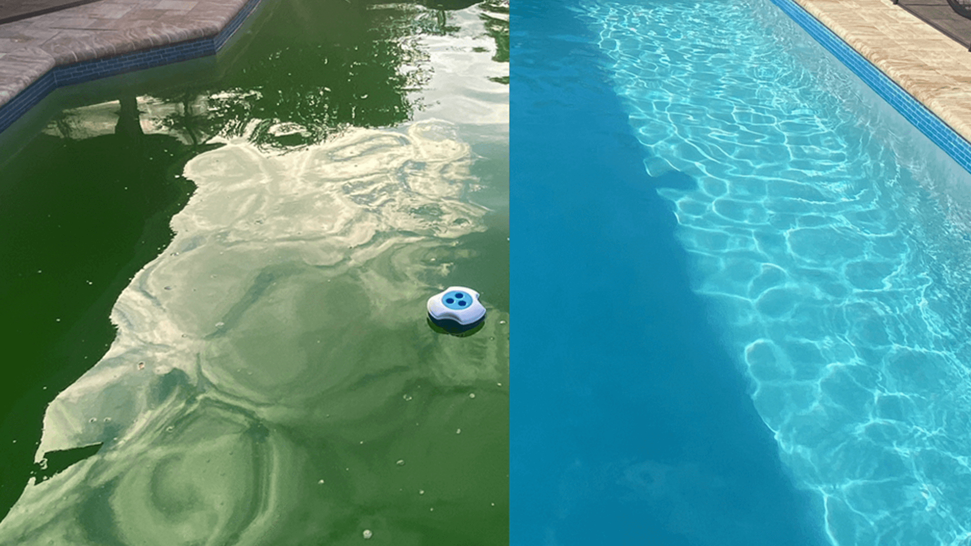 Green pool cleanup before and after in Port St. Lucie, Florida